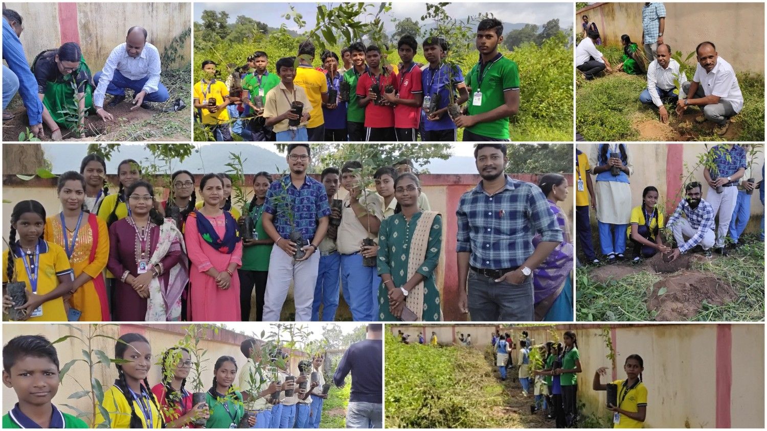 Plantation on Ek Ped Maa Ke Nam 2.0