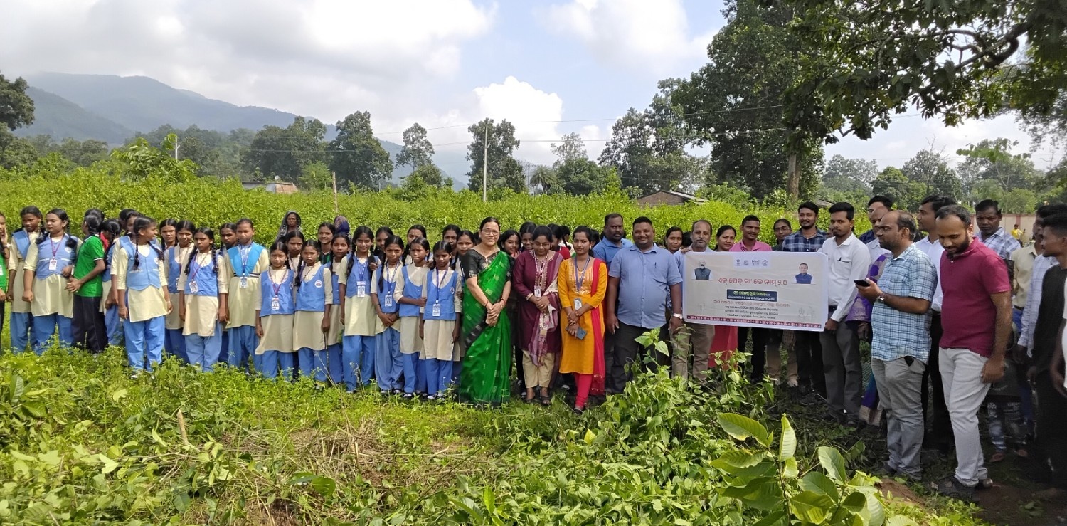 Ek Ped Maa Ke Nam 2.0